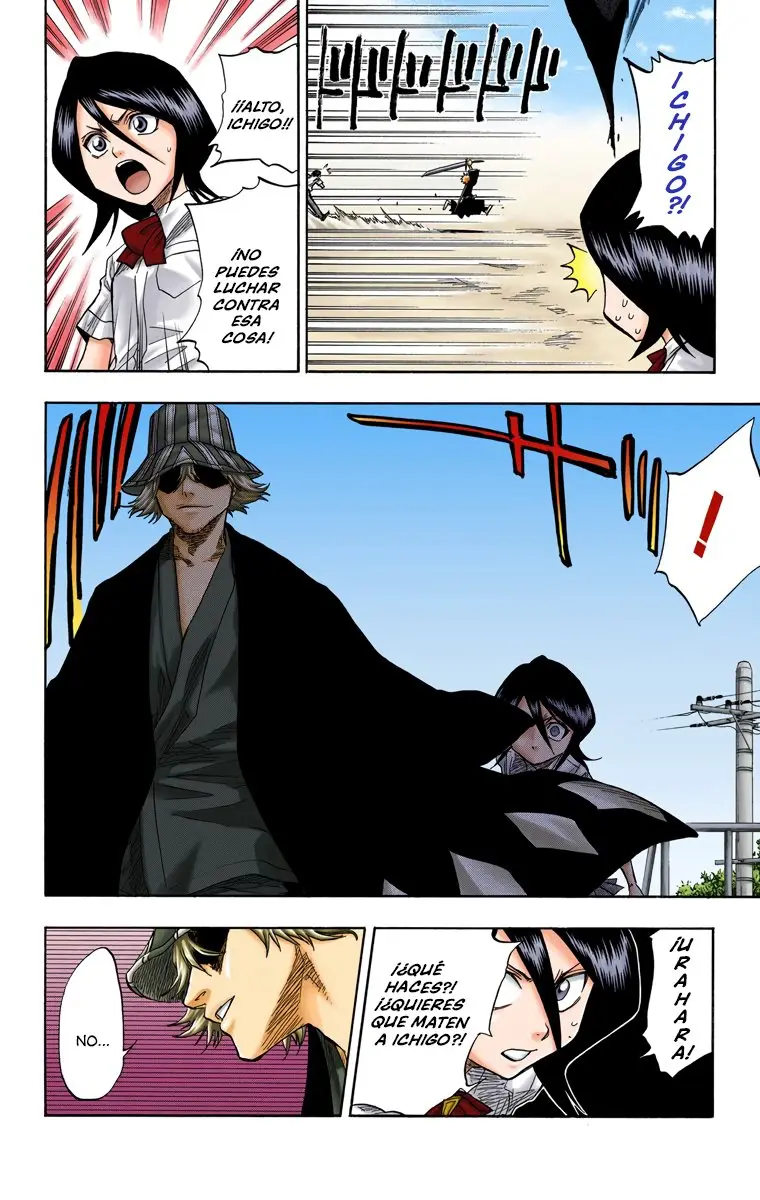 Bleach (Color) capítulo 48, página 14