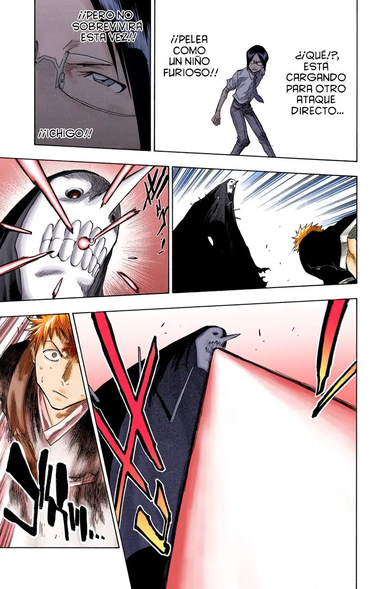 Bleach (Color) capítulo 49, página 14