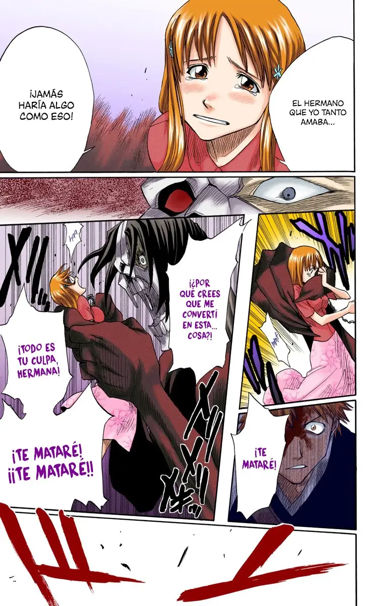 Bleach (Color) capítulo 5, página 17