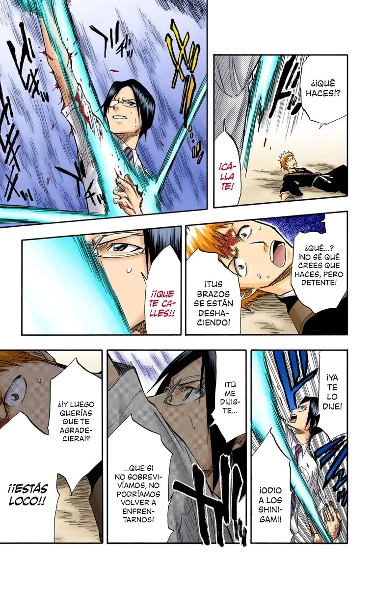 Bleach (Color) capítulo 50, página 14