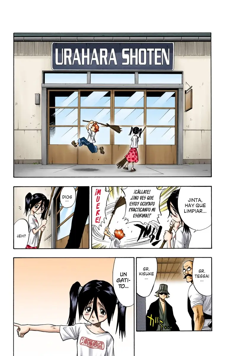 Bleach (Color) capítulo 51, página 10