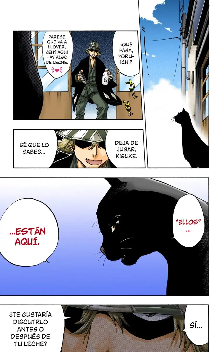 Bleach (Color) capítulo 51, página 17
