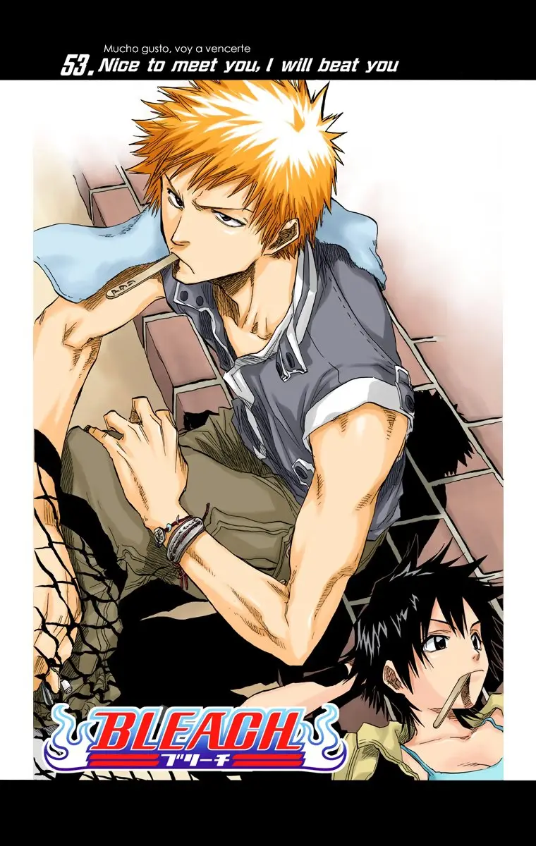 Bleach (Color) capítulo 53, página 10