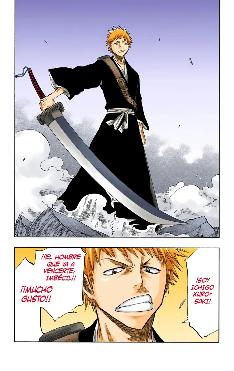 Bleach (Color) capítulo 53, página 24