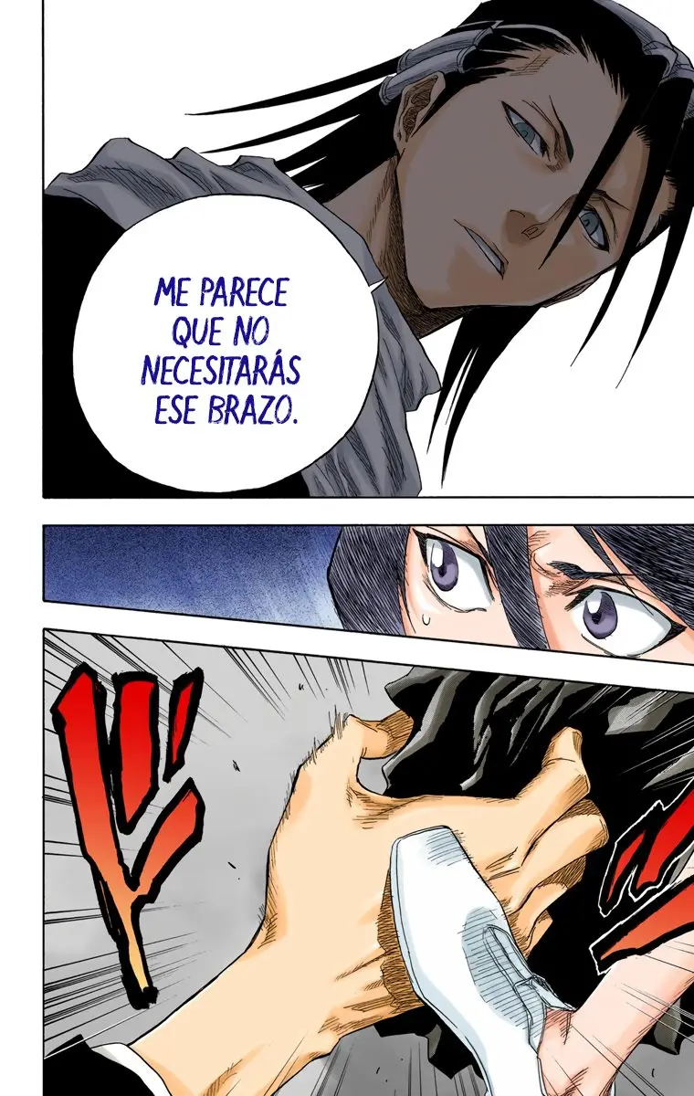 Bleach (Color) capítulo 56, página 13
