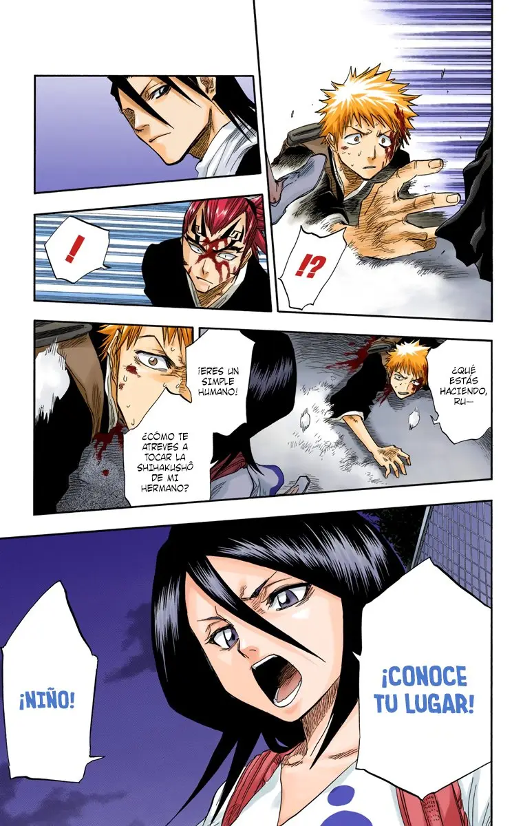 Bleach (Color) capítulo 56, página 14