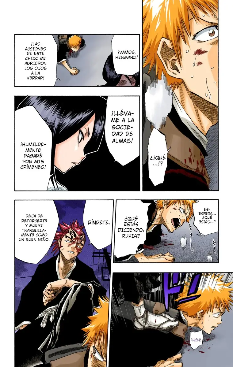 Bleach (Color) capítulo 56, página 15