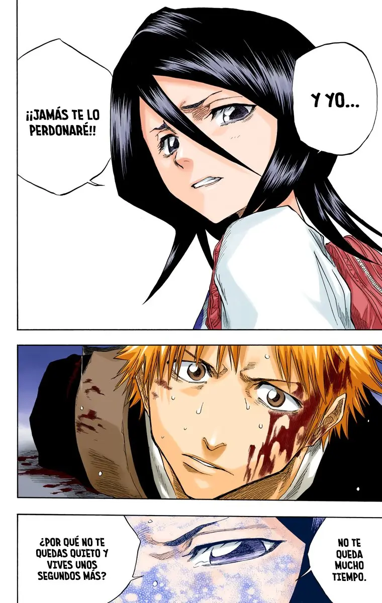 Bleach (Color) capítulo 56, página 17