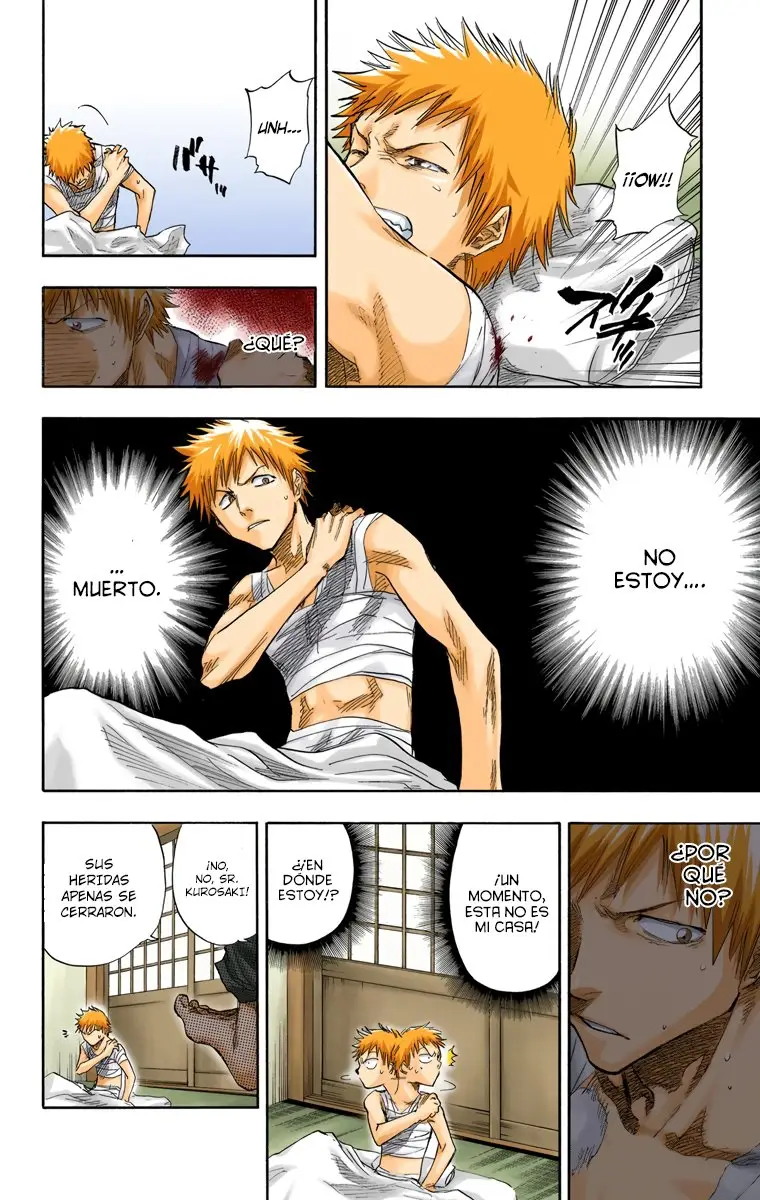 Bleach (Color) capítulo 57, página 7