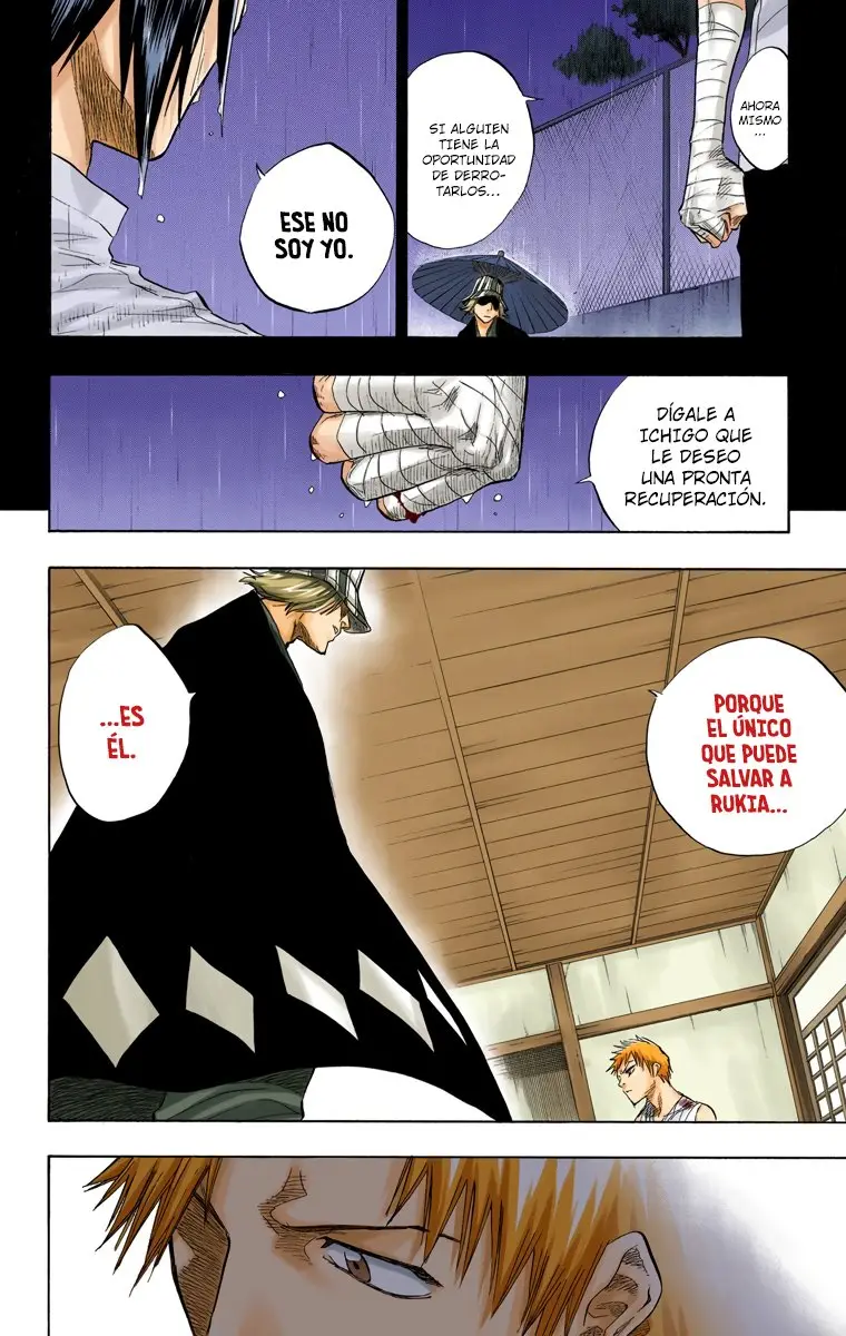 Bleach (Color) capítulo 57, página 11