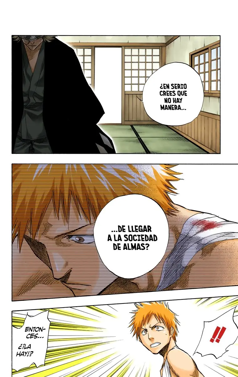 Bleach (Color) capítulo 57, página 13