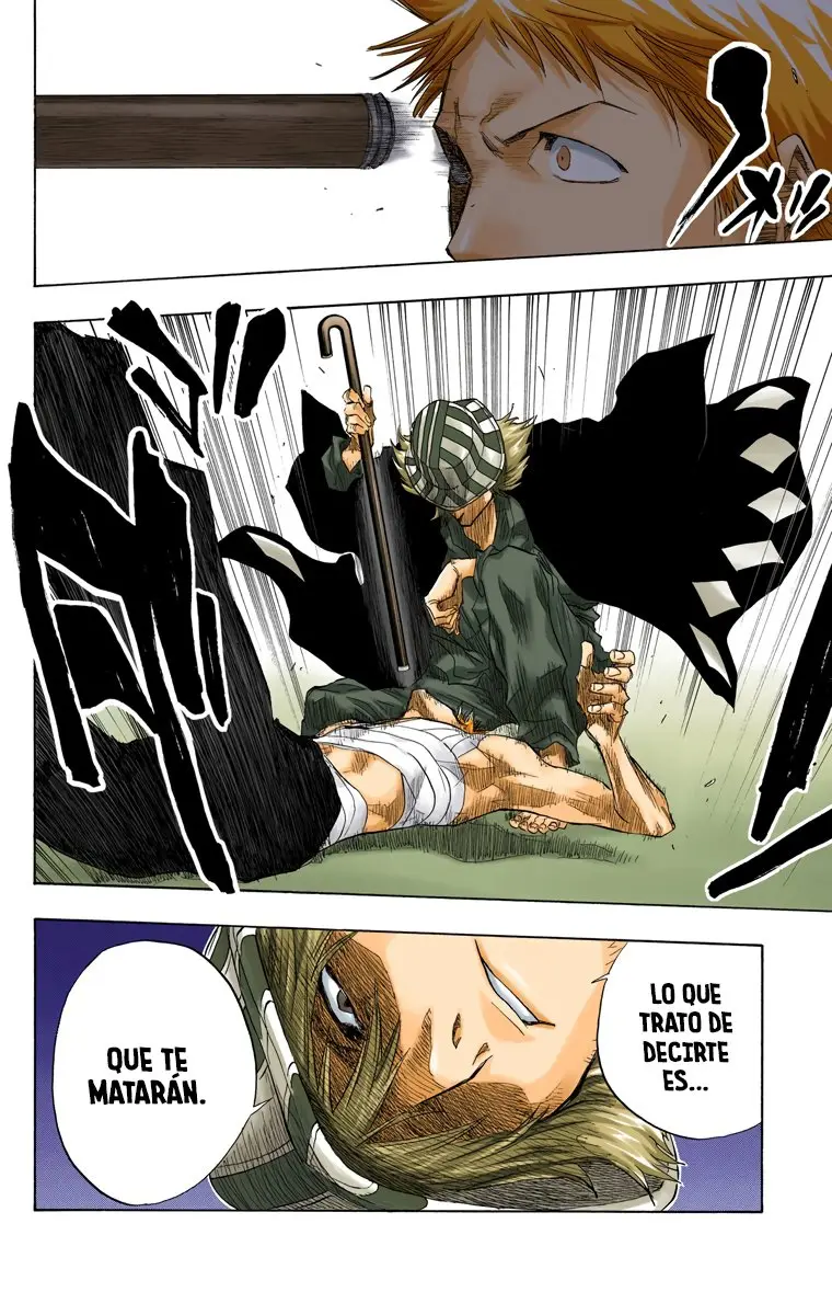 Bleach (Color) capítulo 57, página 15