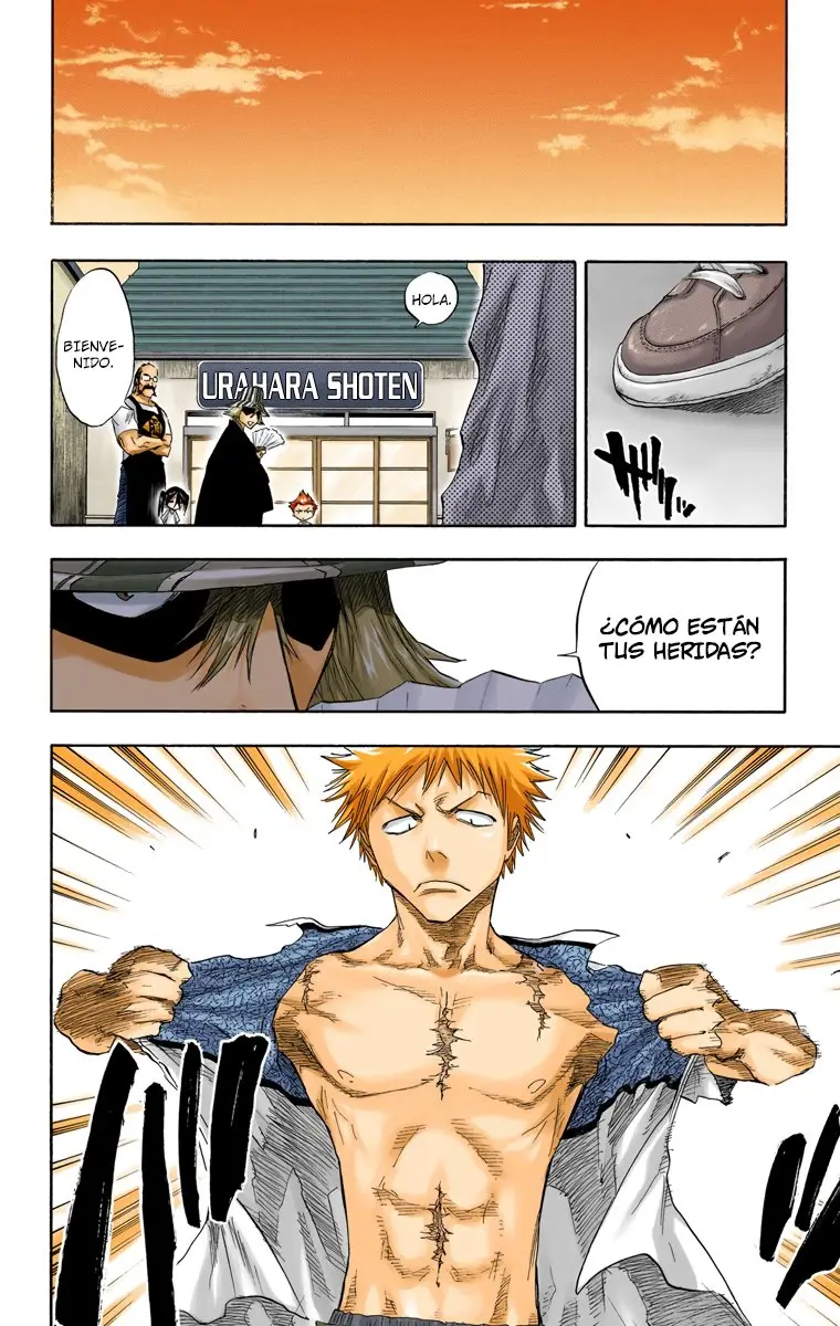 Bleach (Color) capítulo 58, página 19