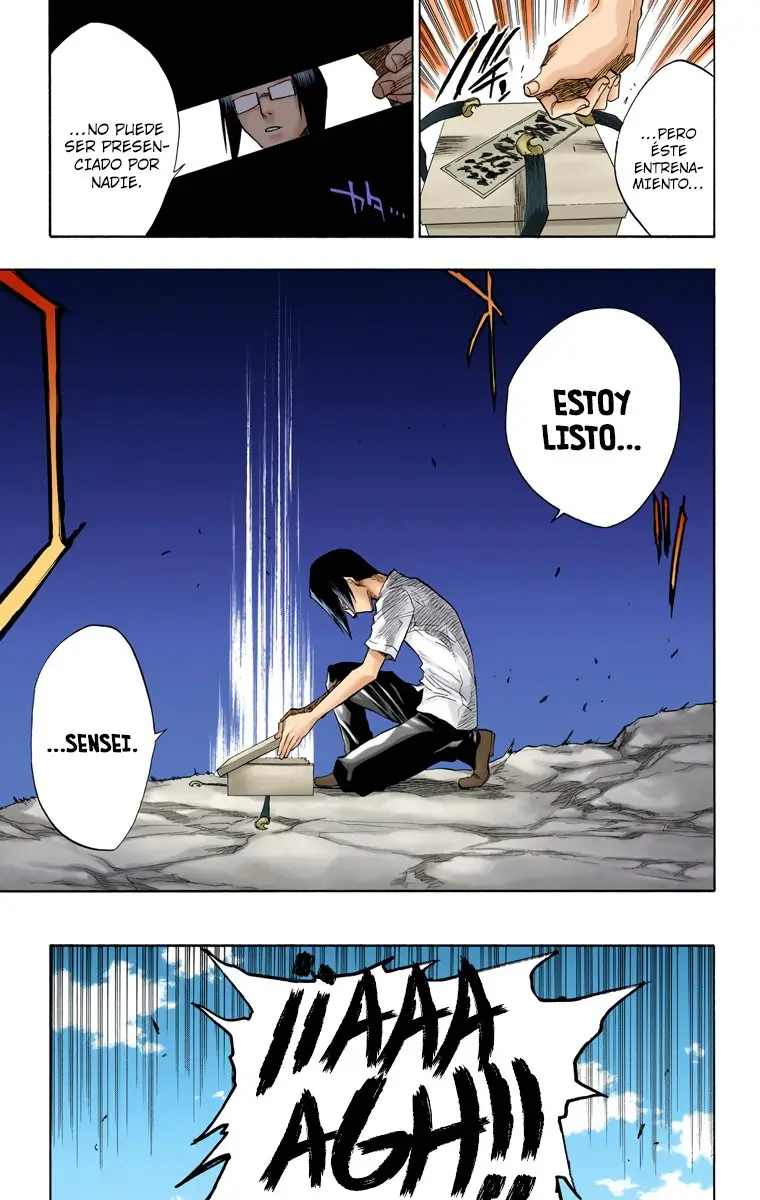 Bleach (Color) capítulo 61, página 12