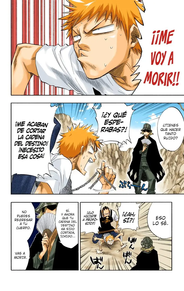 Bleach (Color) capítulo 61, página 13