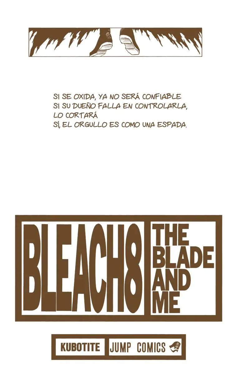 Bleach (Color) capítulo 62, página 3