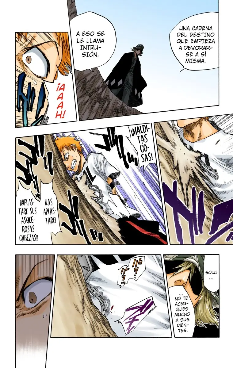 Bleach (Color) capítulo 62, página 7