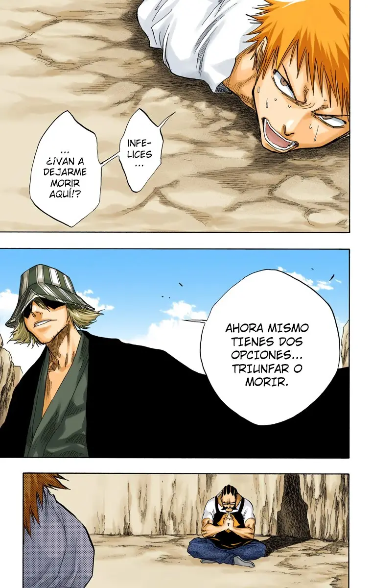 Bleach (Color) capítulo 62, página 10