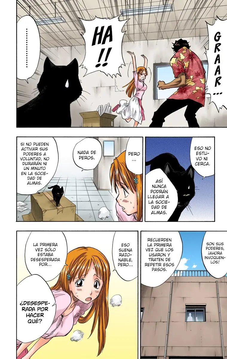 Bleach (Color) capítulo 62, página 13