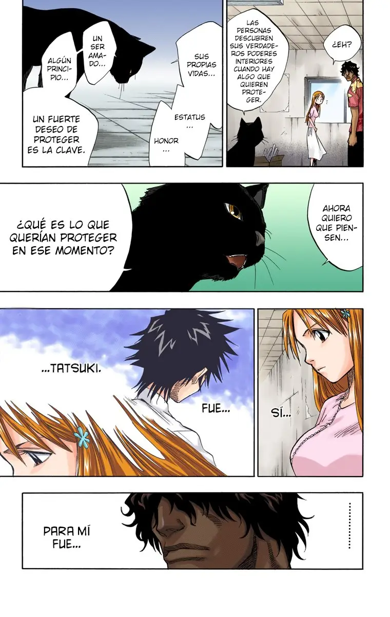 Bleach (Color) capítulo 62, página 14