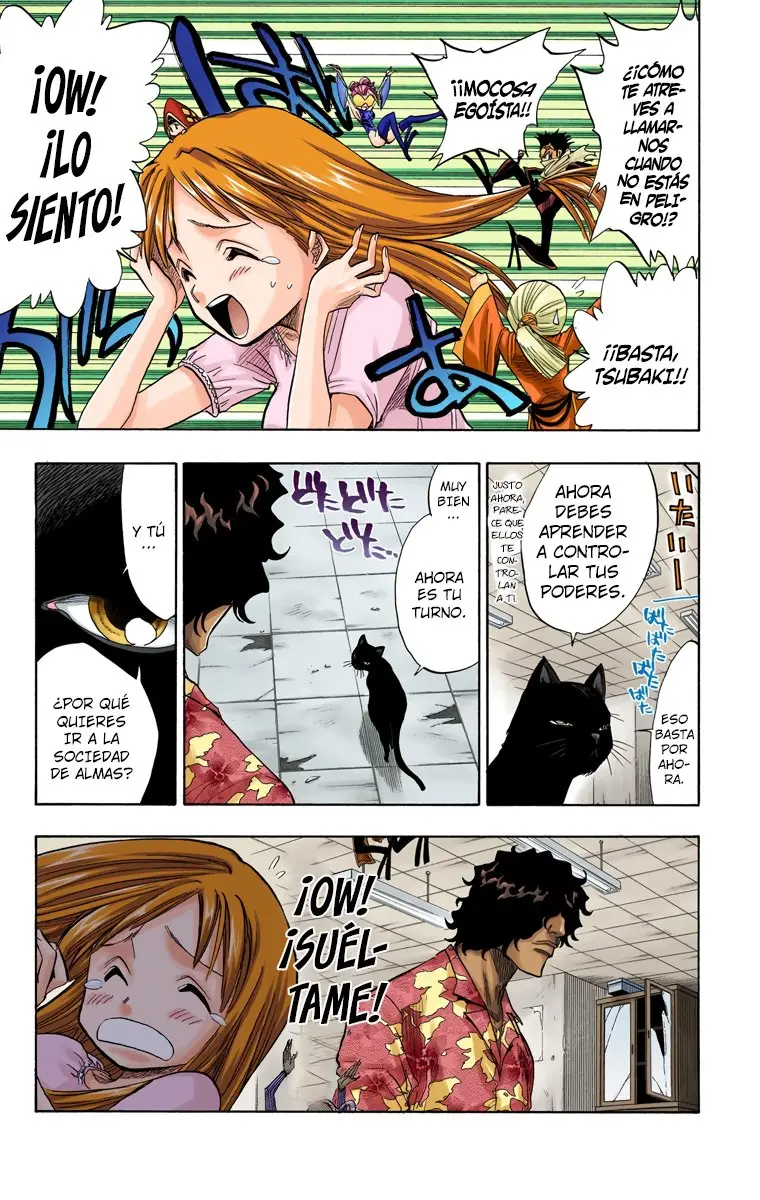 Bleach (Color) capítulo 62, página 18