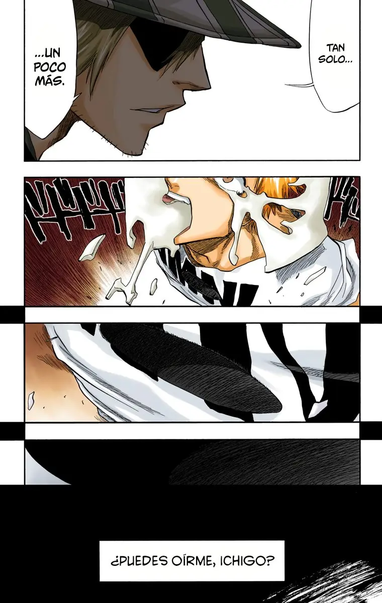 Bleach (Color) capítulo 63, página 5
