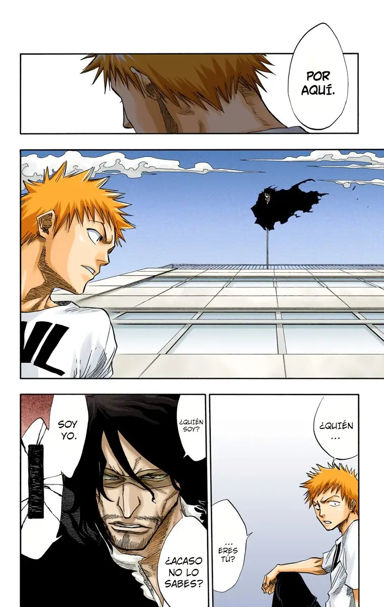 Bleach (Color) capítulo 63, página 7