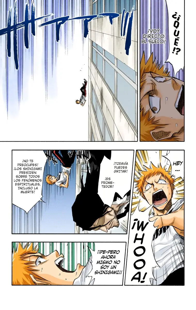 Bleach (Color) capítulo 63, página 10
