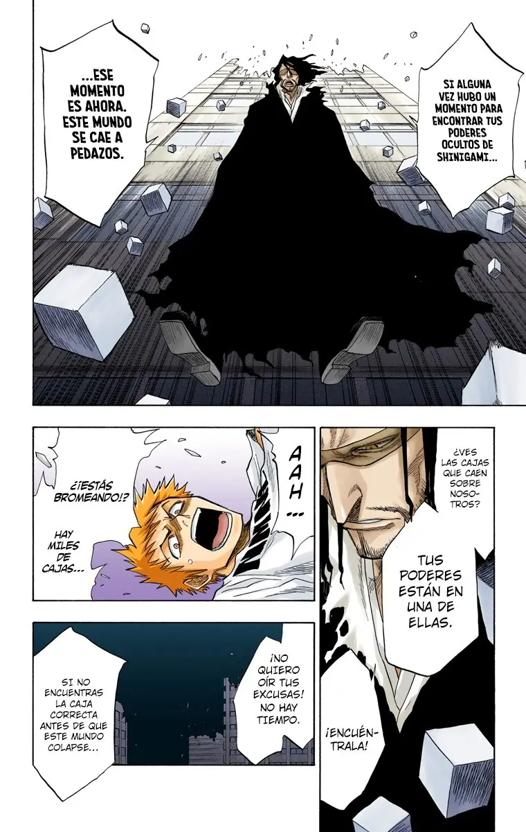 Bleach (Color) capítulo 63, página 13