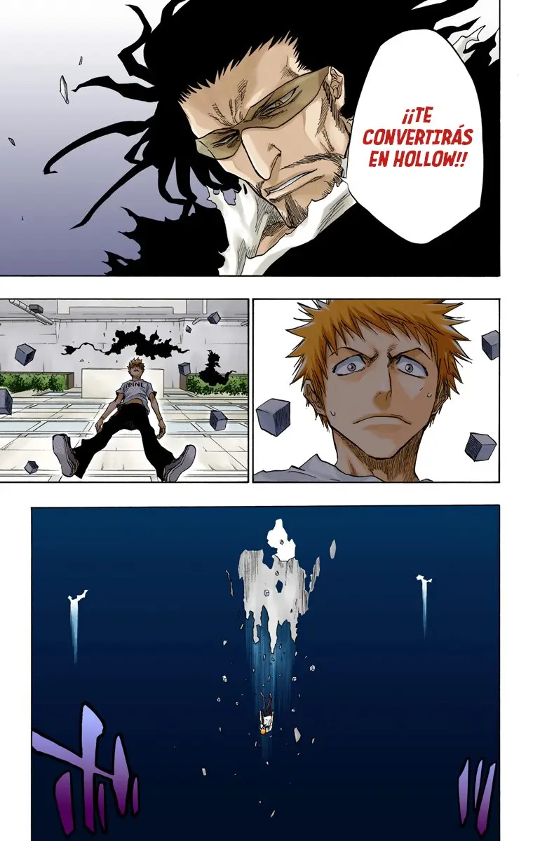Bleach (Color) capítulo 63, página 14