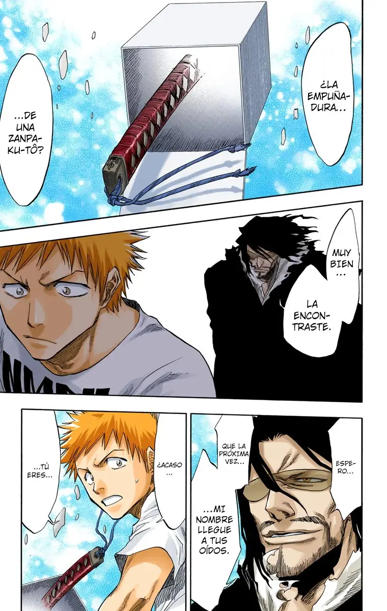 Bleach (Color) capítulo 63, página 18