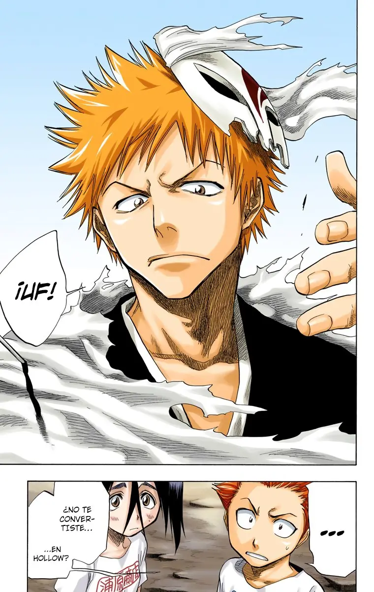 Bleach (Color) capítulo 64, página 17
