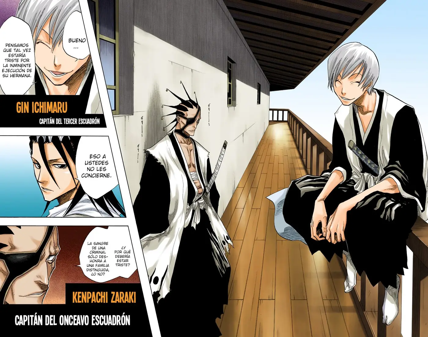 Bleach (Color) capítulo 65, página 11