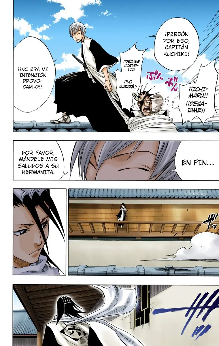 Bleach (Color) capítulo 65, página 14