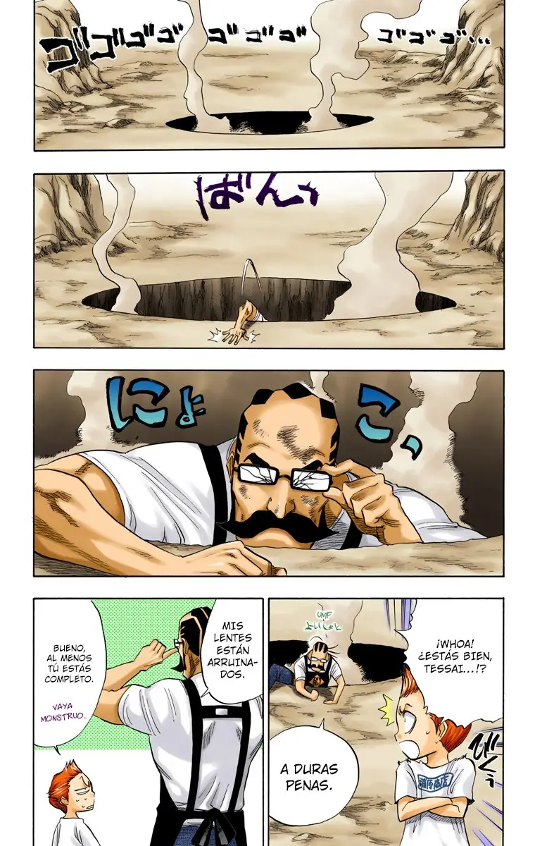Bleach (Color) capítulo 65, página 15