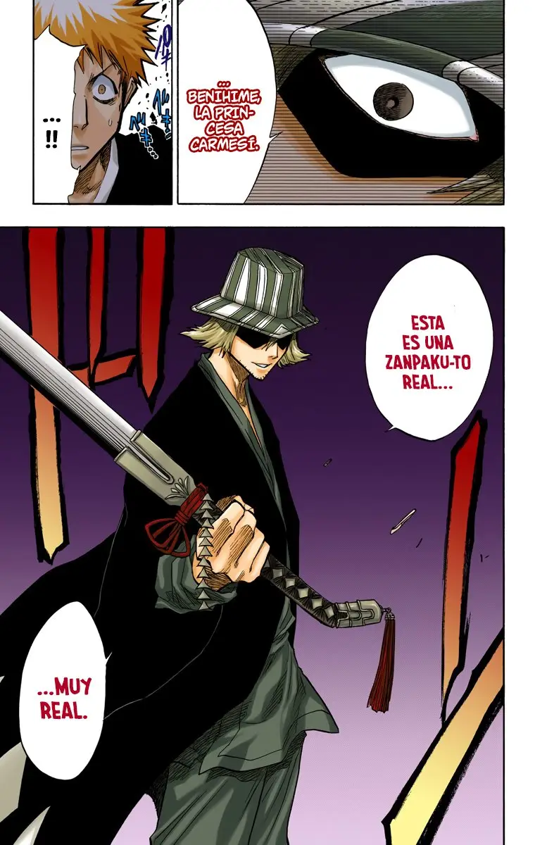 Bleach (Color) capítulo 65, página 19