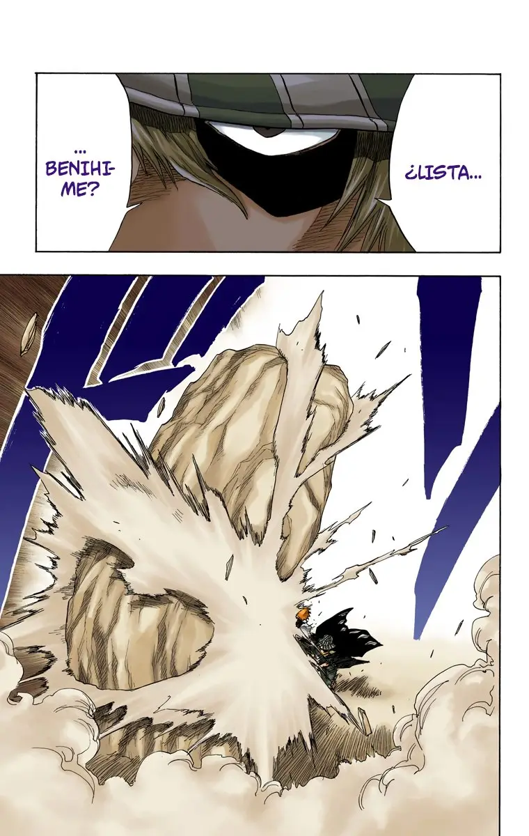 Bleach (Color) capítulo 66, página 4
