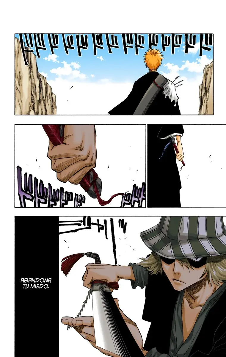 Bleach (Color) capítulo 67, página 3