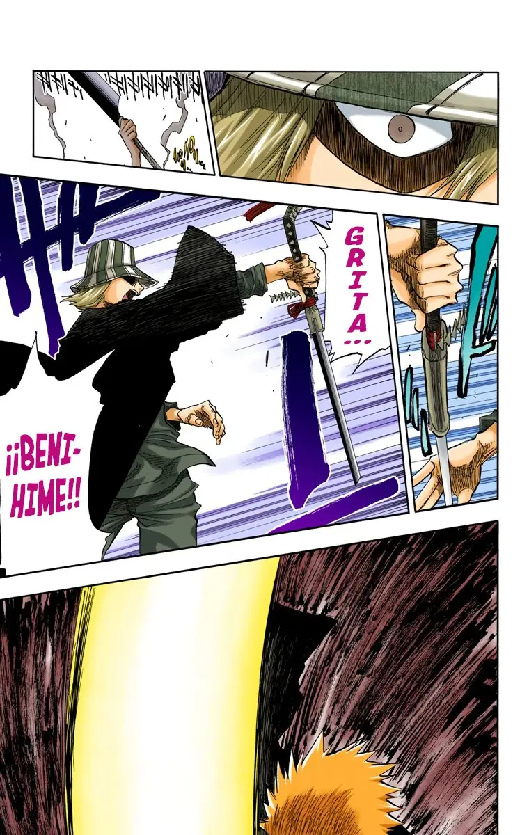 Bleach (Color) capítulo 67, página 13