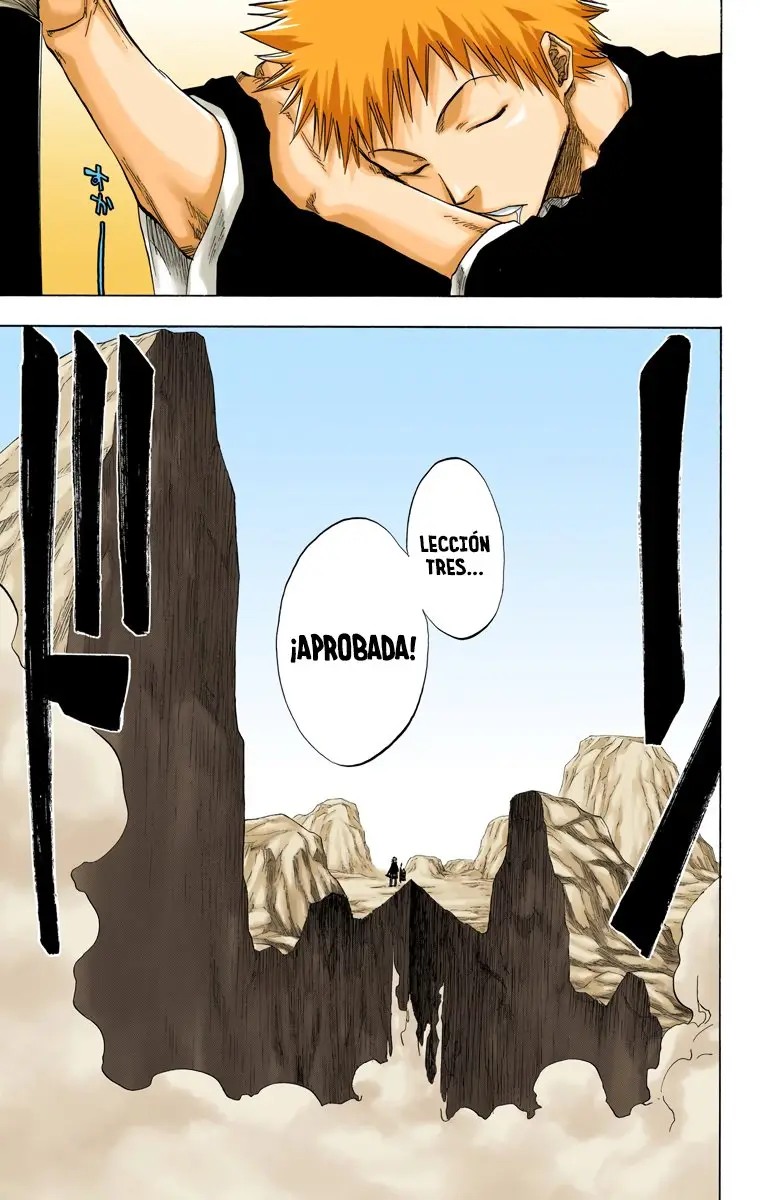Bleach (Color) capítulo 67, página 17