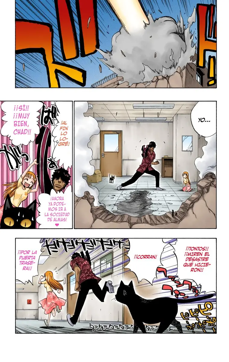 Bleach (Color) capítulo 67, página 19