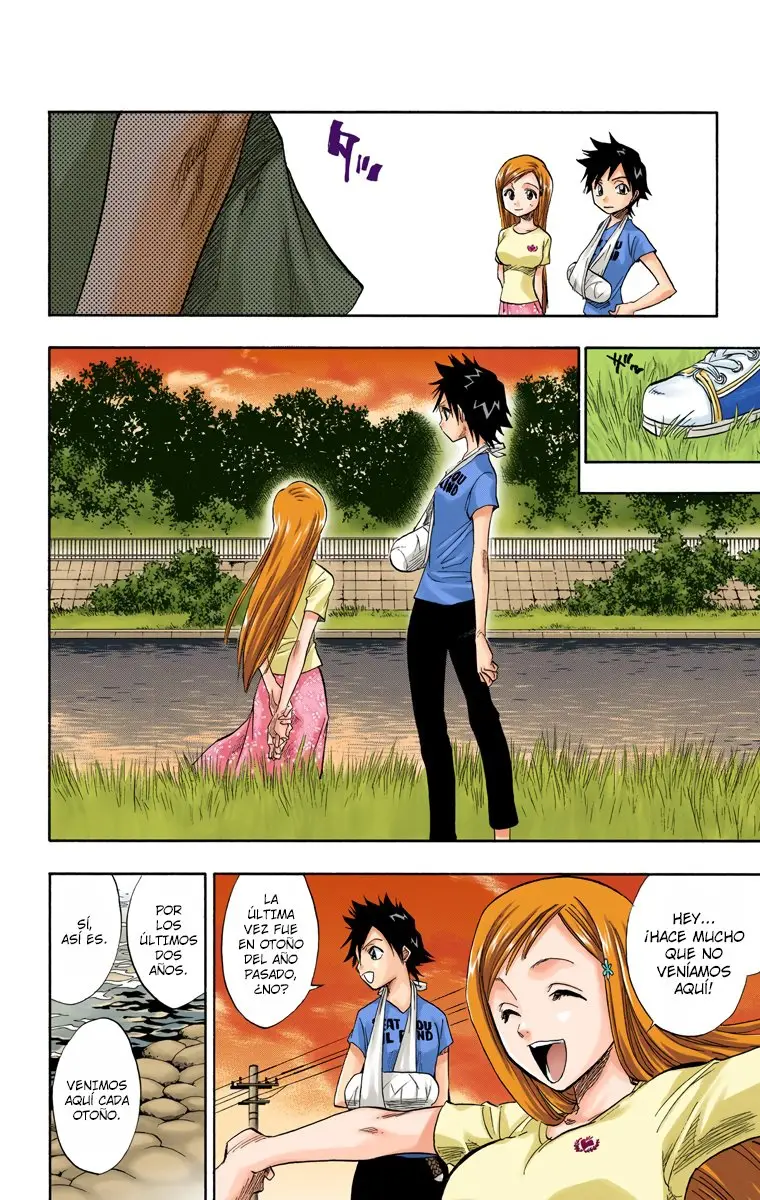 Bleach (Color) capítulo 68, página 13