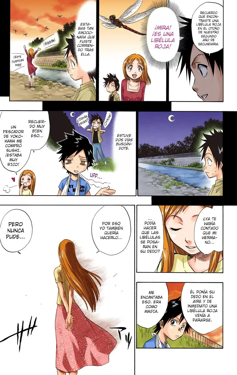 Bleach (Color) capítulo 68, página 14