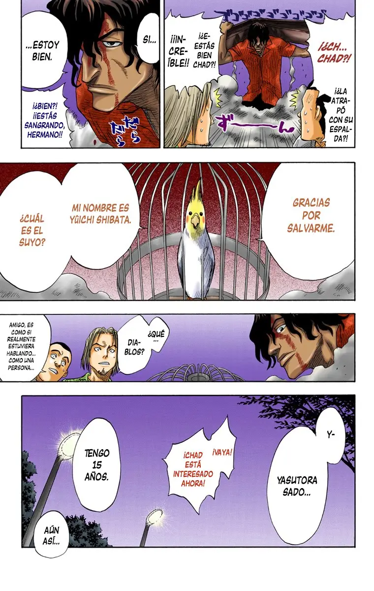 Bleach (Color) capítulo 7, página 3