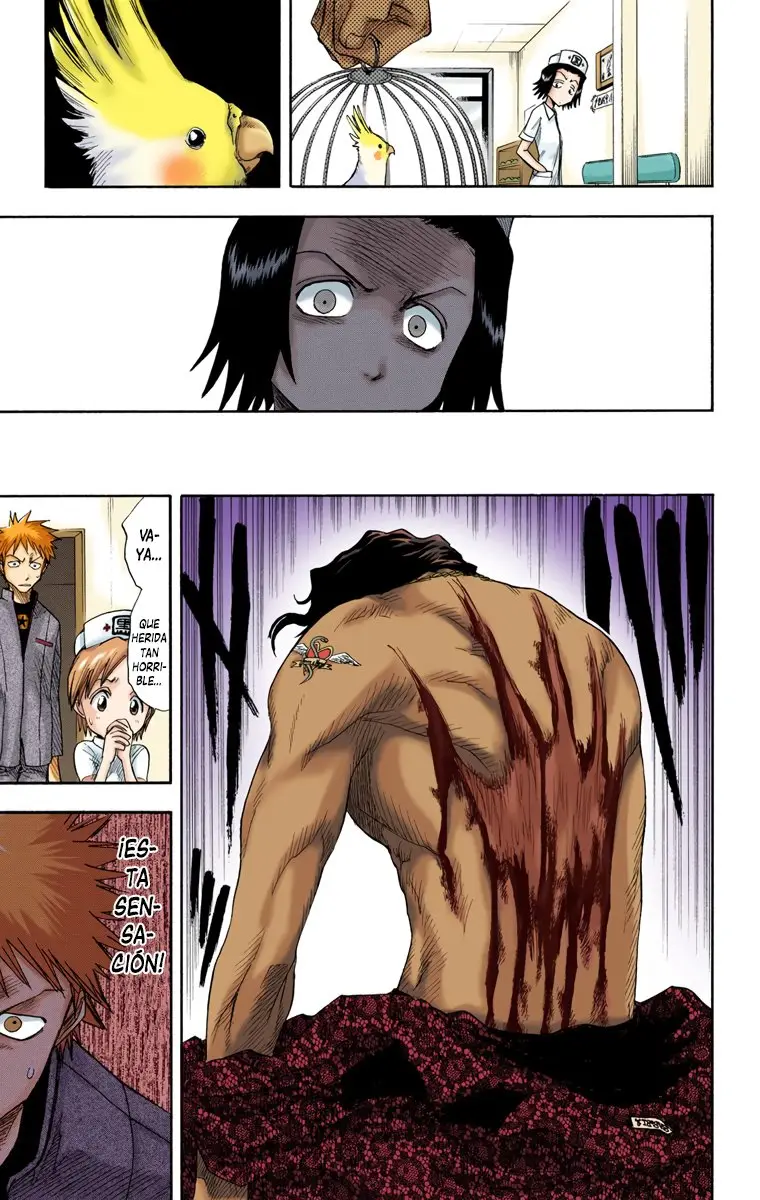 Bleach (Color) capítulo 7, página 19