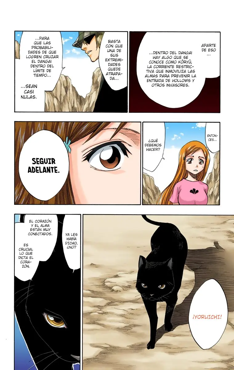 Bleach (Color) capítulo 70, página 11