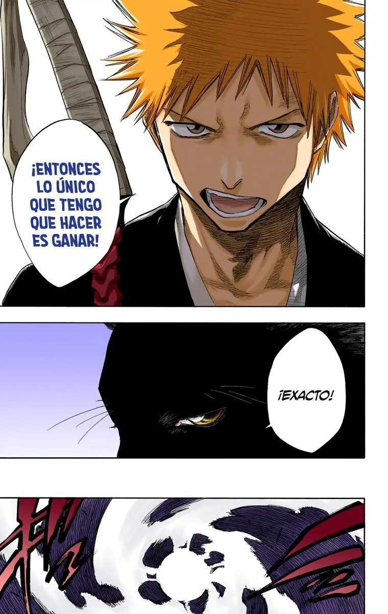 Bleach (Color) capítulo 70, página 14