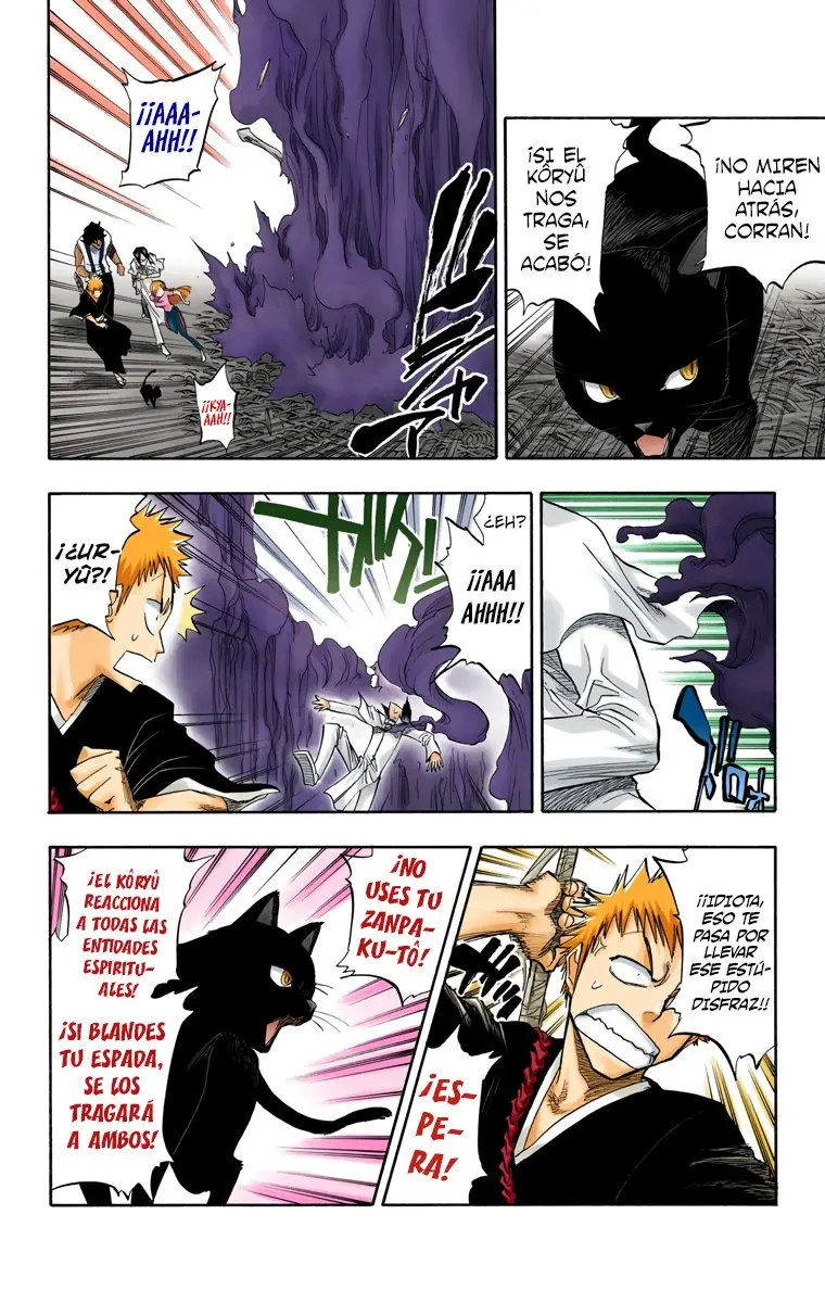 Bleach (Color) capítulo 71, página 9