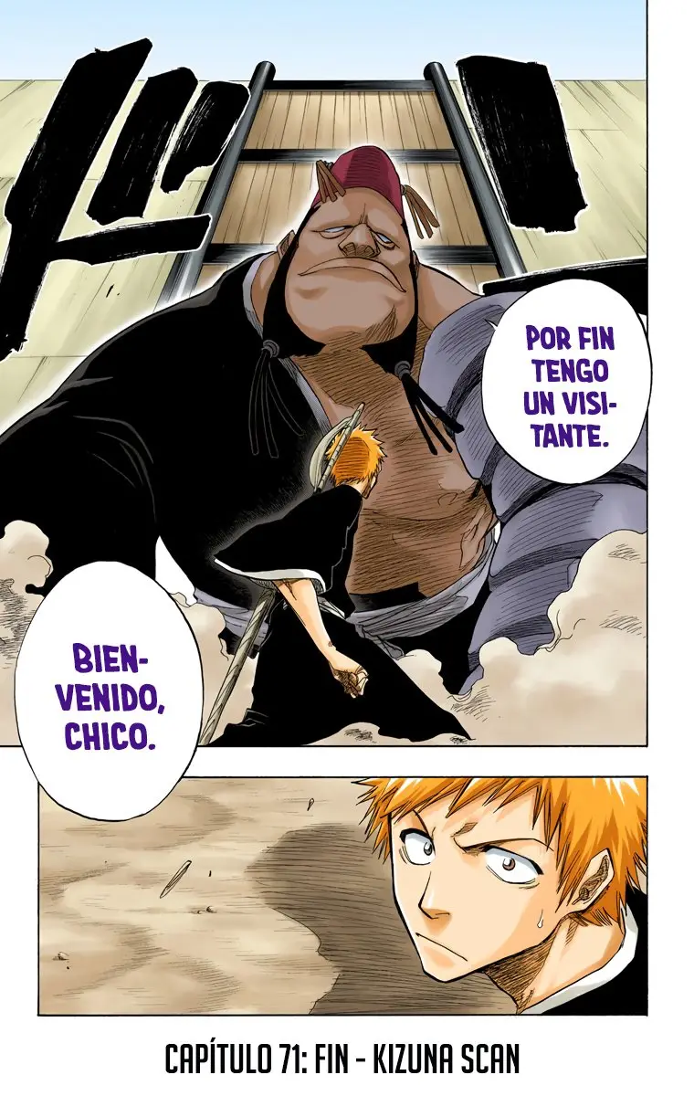 Bleach (Color) capítulo 71, página 24