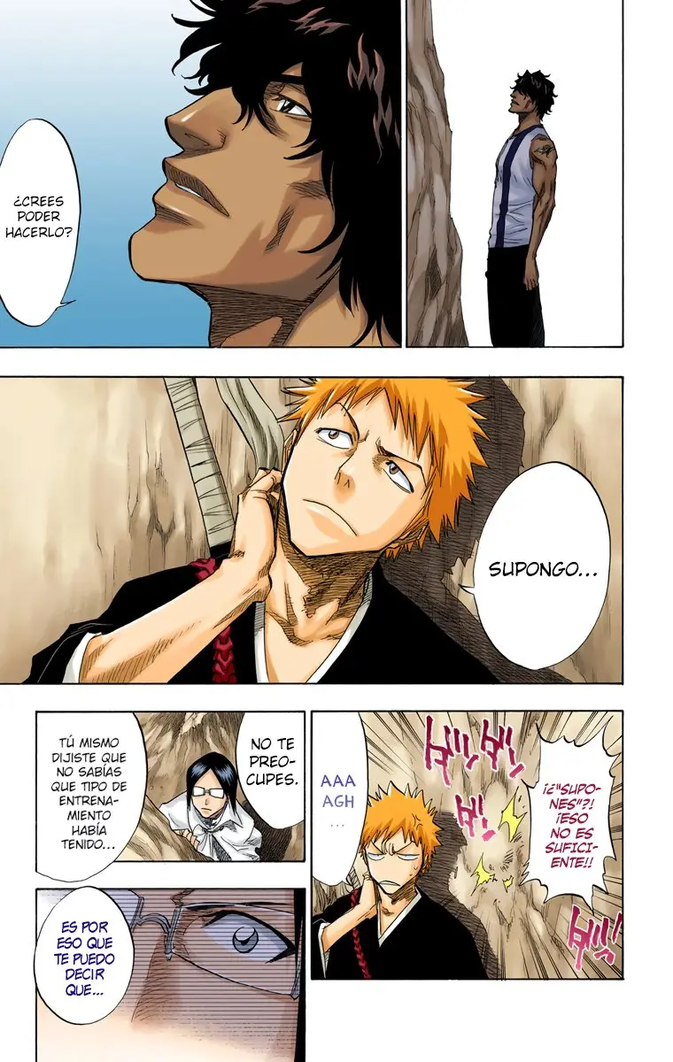 Bleach (Color) capítulo 72, página 13
